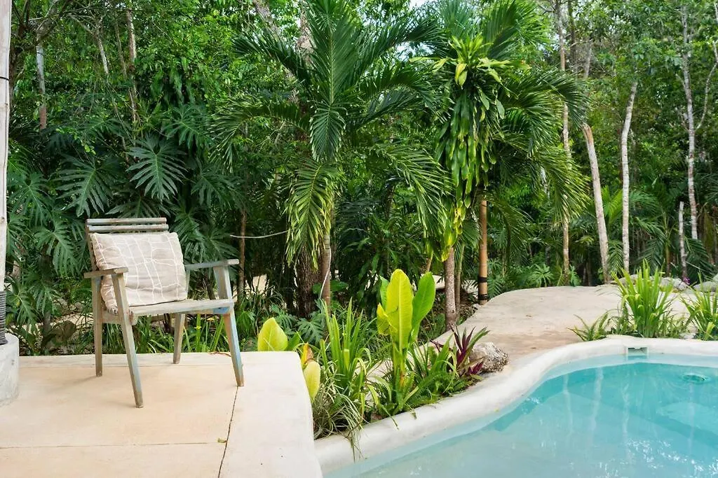 Сasa de vacaciones Zen Canto Villa Tuuch :: May The Jungle Be With You Tulum México