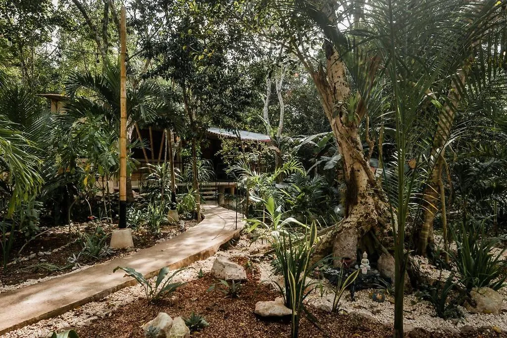 Zen Canto Villa Tuuch :: May The Jungle Be With You Tulum Holiday home