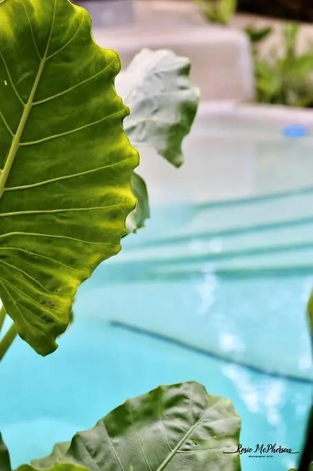 Zen Canto Villa Tuuch :: May The Jungle Be With You Tulum 0*,  Mexico