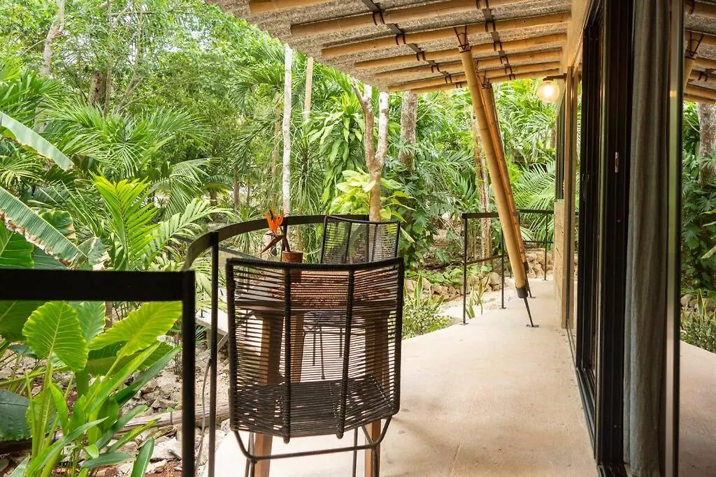 Сasa de vacaciones Zen Canto Villa Tuuch :: May The Jungle Be With You Tulum México