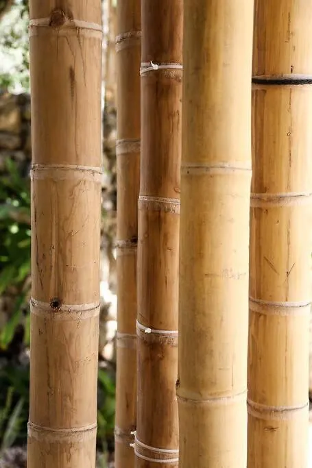 Сasa de vacaciones Zen Canto Villa Tuuch :: May The Jungle Be With You Tulum