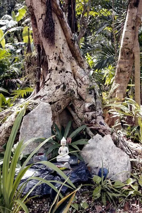 Zen Canto Villa Tuuch :: May The Jungle Be With You Tulum Сasa de vacaciones