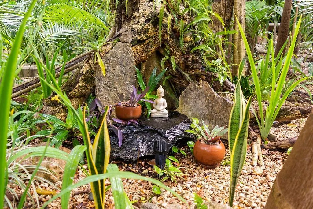 Сasa de vacaciones Zen Canto Villa Tuuch :: May The Jungle Be With You Tulum