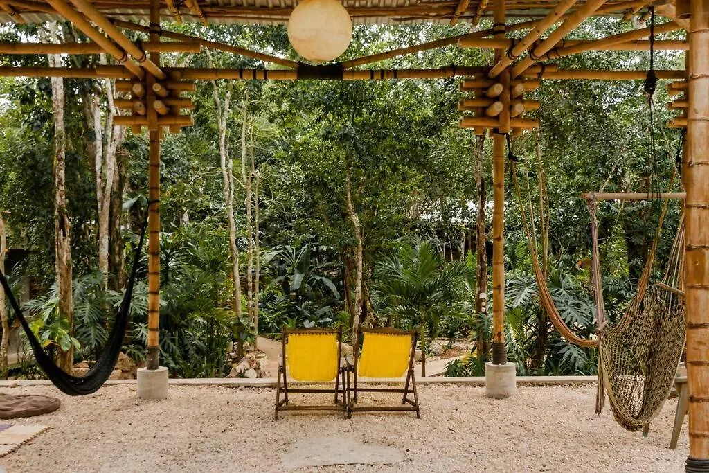 Zen Canto Villa Tuuch :: May The Jungle Be With You Tulum Holiday home