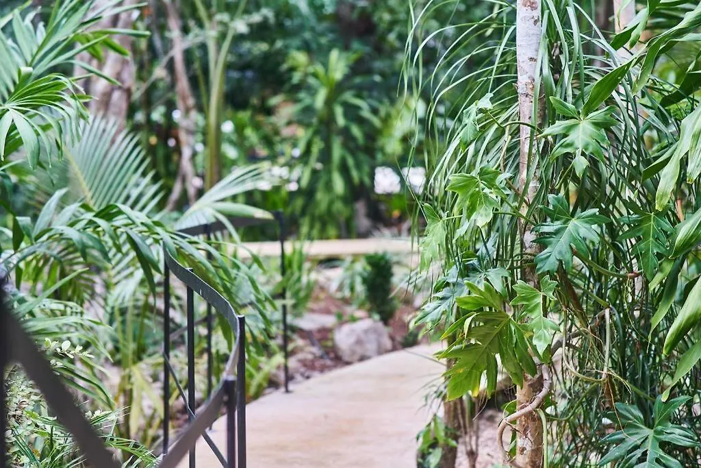 Zen Canto Villa Tuuch :: May The Jungle Be With You Tulum Сasa de vacaciones